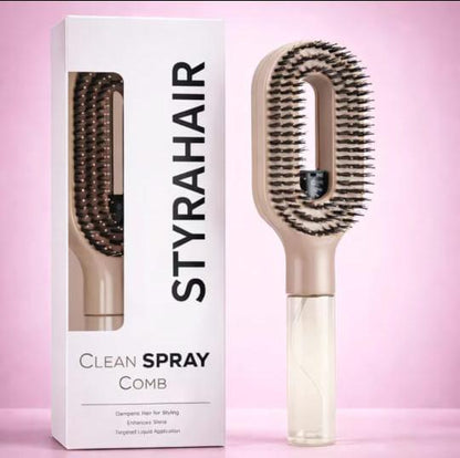 BROSSE VAPORISANTE 2-EN -1